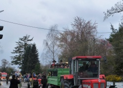 maibaum_1.jpg